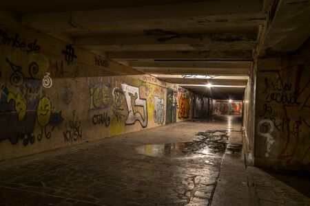 CHISINAU, MOLDOVA - 8 APRIL, 2017: Interior with graffiti  of a subway from Chisinau, Moldova.のeditorial素材
