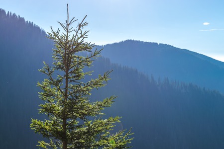 A view of the Transfagarasan mountains region in Transylvania.