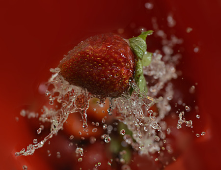 strawberry in splashes waterの写真素材