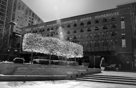 spring trees glow in the rays of the bright sun on the background of brick houses on the town squareのeditorial素材