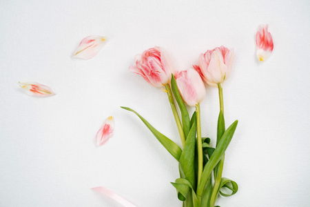 Bouquet of pink tulips. Top view, white background, copy space.の写真素材