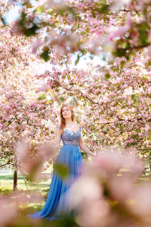 Fairytale girl with red hair in a blue evening dress walks in the pink cherry blossom garden on a sunny day. Blurred foreground. Allergy free concept.の写真素材
