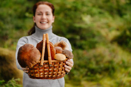 Young woman holds a basket in a gray sweater full of autumn harvest of boletus mushrooms. The season of collecting edible mushrooms for walking in the fresh air in the forest.の写真素材