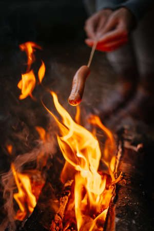 Traveler cooks delicious sausages on a campfire in a summer forest. Hiking and camping in the forest cooking on fire.の写真素材