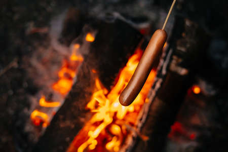 Cooking sausages on a campfire in the evening on a wooden stick. Concept of hiking and outdoor recreation.の写真素材