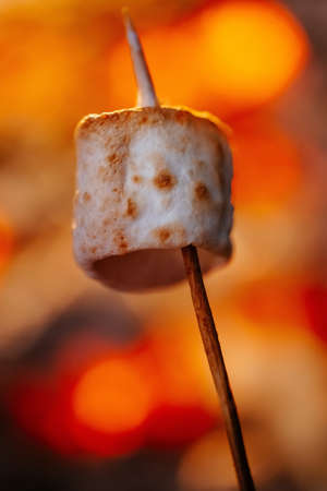 Marshmallows on a stick are fried on a campfire in the forest. Concept of a hike and ecotourism.の写真素材