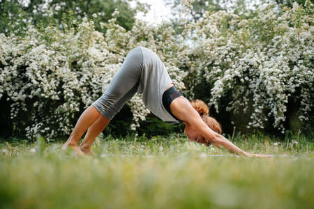 Young slender woman practices yoga in the summer in the park while standing on the green grass. Pose in yoga dog word down.の写真素材