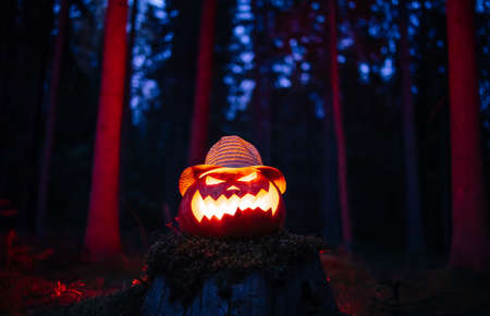Traditional jacks head lantern for Halloween on the background of a gloomy red forest. Concept of horror and celebration.の写真素材
