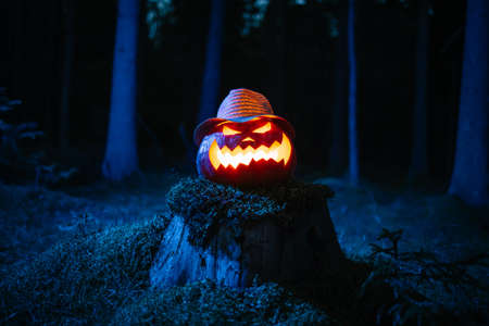 Pumpkin lantern burning in the dark forest on the traditional Halloween holiday. Concept background holiday of horror.の写真素材