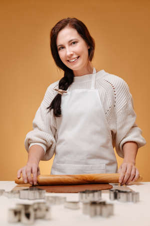 Woman baker in white apron prepares New Years cookies from ginger dough.の写真素材