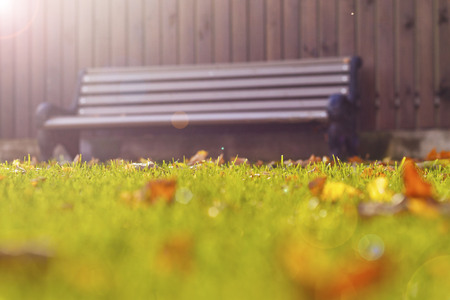 wooden bench on the lawn on a background of a brown fenceの写真素材