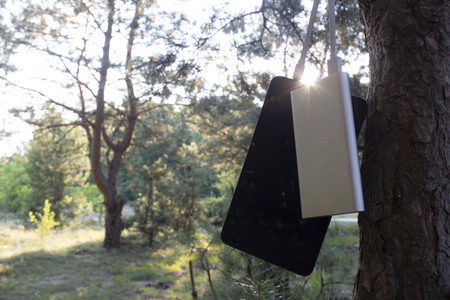 A portable charger charges the Tablet. Power Bank with cable against the background of nature and wood.の写真素材