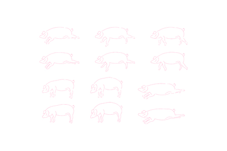 Pig set doodle icons for 2019 year isolated on white background. Flat vector background.のイラスト素材