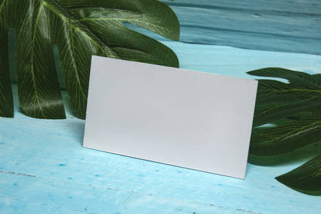 Realistic Mock up of business card with tropical plant, on light blue wooden backgroundの写真素材