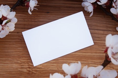 Realistic Mock up of business cards with Blossom, on wooden background.の写真素材
