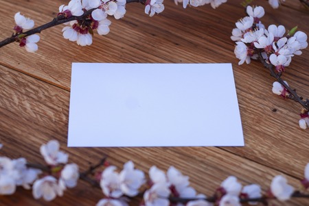 Realistic Mock up Postal Card with Blossom, on wooden backgroundの写真素材