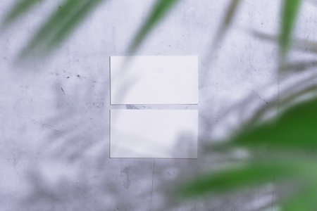 Empty two business cards mockup on marble background with natural palm shadows. Card for branding...