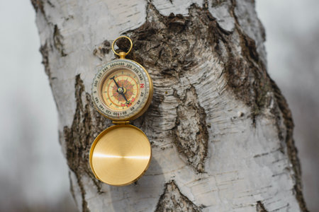 Compass hanging on birch tree. Navigation tool for outdoor adventure and travel directionの写真素材