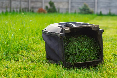 Lawn mower bag filled with fresh grass clippings for a lush green lawn. A concept for gardening and lawn care enthusiastsの写真素材