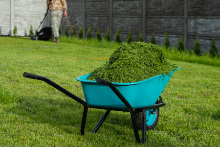 A blue wheelbarrow filled with freshly cut grass stands on a lawn with a man in the background moving the grass. Lawn care in the backyard landscapingの写真素材