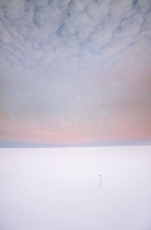 after sunset in the fields の写真素材