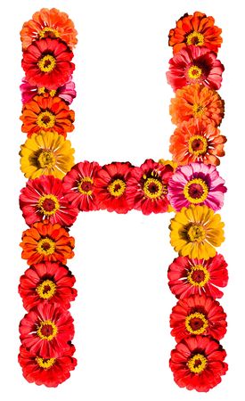 Flower alphabet - Hの写真素材