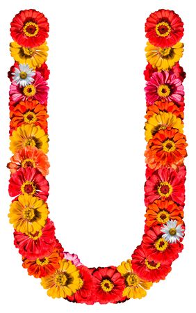 Alphabet collection made from different flowers- Uの写真素材