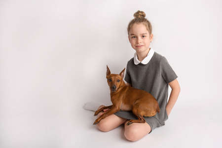 Attractive little girl in a strict school dress with a dwarf brown pinscher on a white background with empty copy space, admires a happy expression on her faceの写真素材