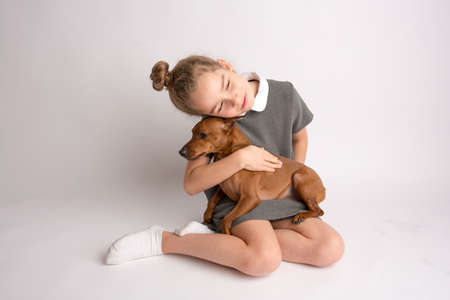 Attractive little girl in a strict school dress with a dwarf brown pinscher on a white background with empty copy space, admires a happy expression on her faceの写真素材