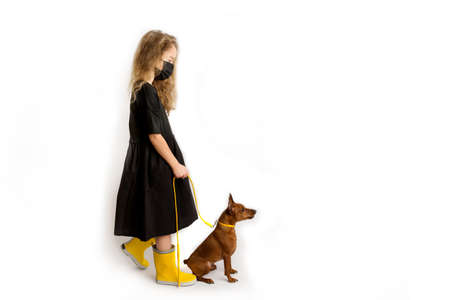 A girl in a black protective antiviral mask walks the dog. New reality of life during the COVID-19 pandemic. Coronavirus pandemic precautions.の写真素材