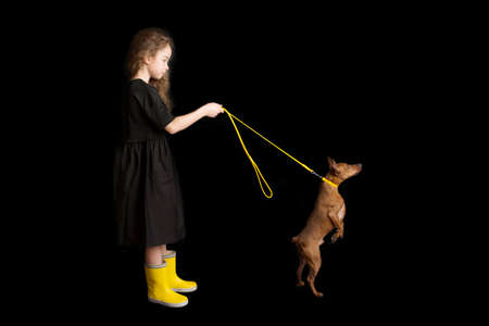 Little girl with dog, black and yellow clothes. Black background. Studio shooting. Baby pets concept. Happy childhoodの写真素材