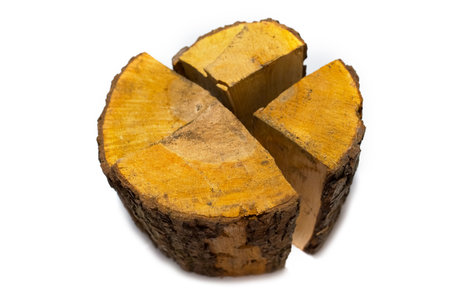 Pile of firewood isolated on a white backgroundの写真素材