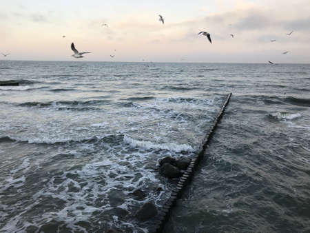 Breaking waves on a wooden breakwater on the Baltic Sea coast.の写真素材