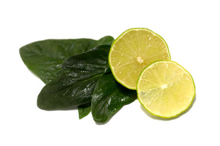 Fresh lime fruit. Whole fruits and cut. Lime leaves. Studio photography on a white background.の写真素材