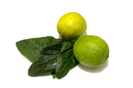 Fresh lime fruits with leaves. Studio photography on a white background.の写真素材