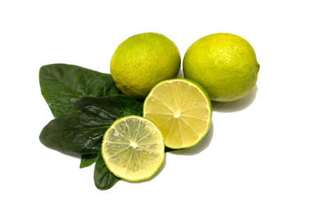 Fresh lime fruit. Whole fruits and cut. Lime leaves. Studio white background.の写真素材
