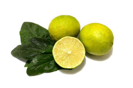 Fresh lime fruit. Whole fruits and cut. Lime leaves. Studio white background.の写真素材