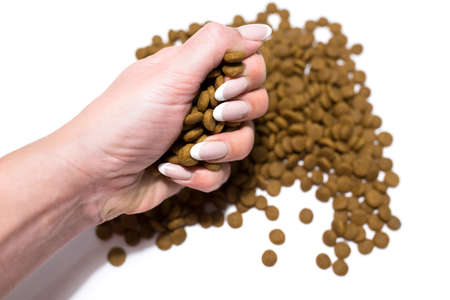 Dry food for cats and dogs on a white background. The hand pours the food.の写真素材
