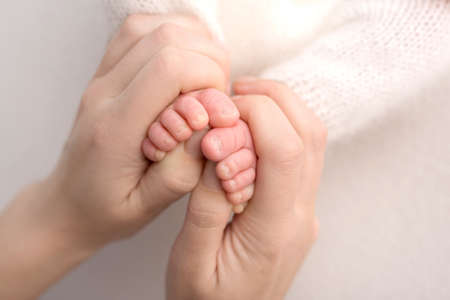 Feet of the newborn in the hands of the mother, parent. Studio photography, white background. Happy family concept.の写真素材