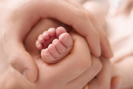 Feet of the newborn in the hands of the mother, parent. Studio photography, white background. Happy family concept.の写真素材