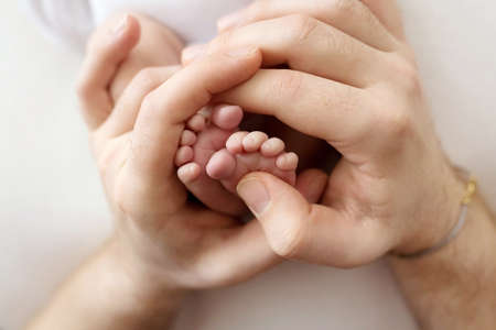 Feet of a newborn in the hands of a father, parent. Studio photography, white background. Happy family concept.の写真素材