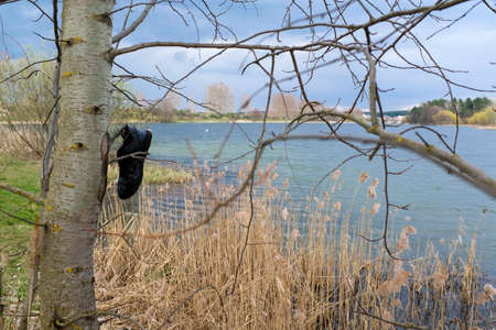 Garbage that pollutes nature. An old boot hangs on a tree. The concept of respect for nature.の写真素材