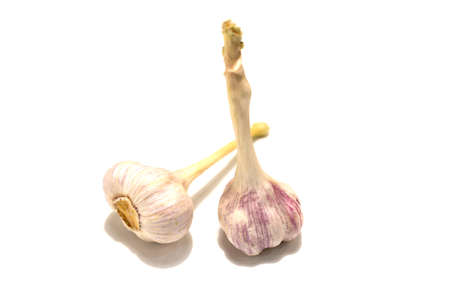 Two heads of garlic. Isolated on white background.の写真素材
