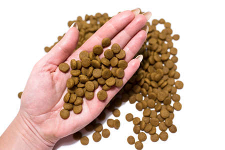 Dry food for cats and dogs on a white background. The hand pours the food.の写真素材