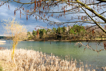 Spring trees are reflected in the lake against the blue sky. Blossoming pussy willow Easter twigs.の写真素材