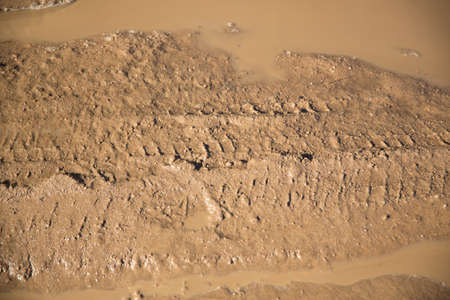 texture and background of dirt in the village after the rainの写真素材
