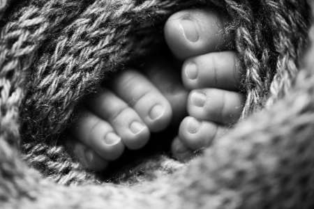 Photo of the legs of a newborn. Baby feet covered with wool isolated background. The tiny foot of a newborn in soft selective focus. Black and white image of the soles of the feet.の写真素材