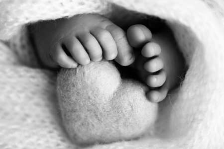 Feet of a newborn with a wooden heart, wrapped in a soft blanket. Black and white studio photography.の写真素材