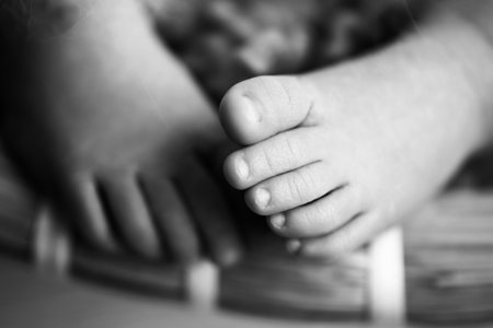 Photo of the legs of a newborn. Baby feet covered with wool isolated background. The tiny foot of a newborn in soft selective focus. Black and white image of the soles of the feet.の写真素材
