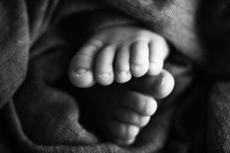 Photo of the legs of a newborn. Baby feet covered with wool isolated background. The tiny foot of a...